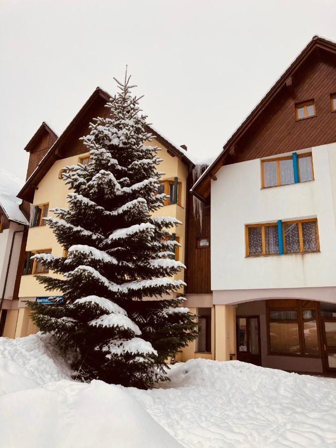 Apartment Horni Namesti